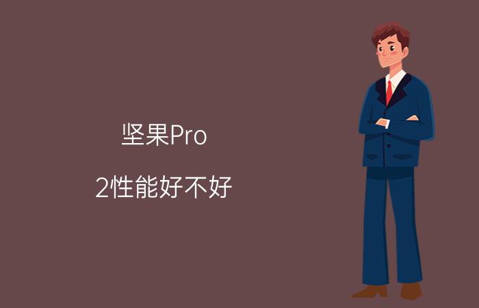 坚果Pro 2性能好不好 坚果Pro 2跑分多少【详细介绍】